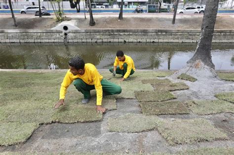 Prefeitura Do Recife Implanta Novo Projeto De Paisagismo Na Agamenon