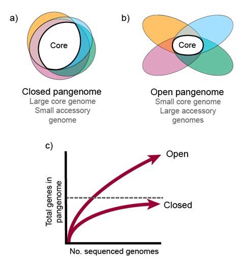 Introduction To Pangenomics Pangenome Analysis In Prokaryotes