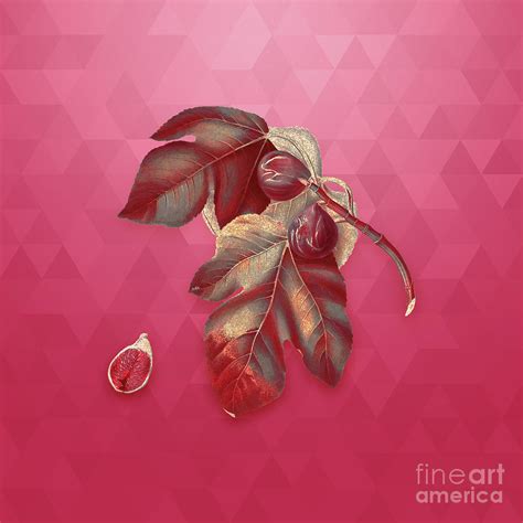 Vintage Fig In Gold On Viva Magenta Mixed Media By Holy Rock Design