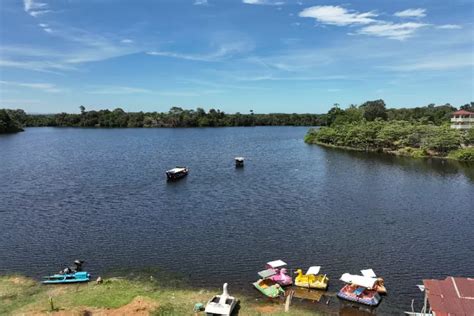 Danau Nibung Surga Tersembunyi Di Pelukan Hutan Bengkulu Ketik Pos