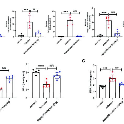 Dapagliflozin Inhibited The Activation Of Tgf β1mapk Pathway In 02