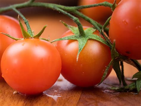 Worlds Most Expensive Tomato Seeds Cost Rs 3 Crore Per Kg