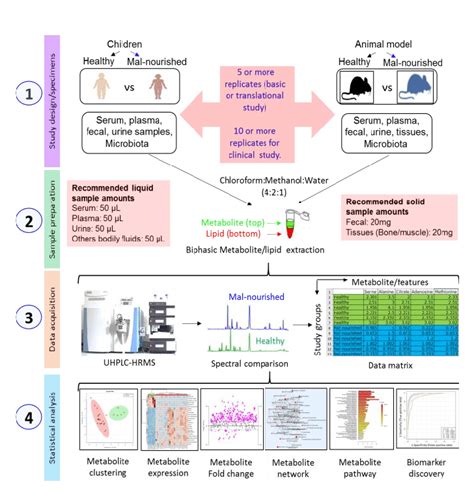 Uhplc Hrms Based Metabolomics And Lipidomics Workflow For Malnutrition