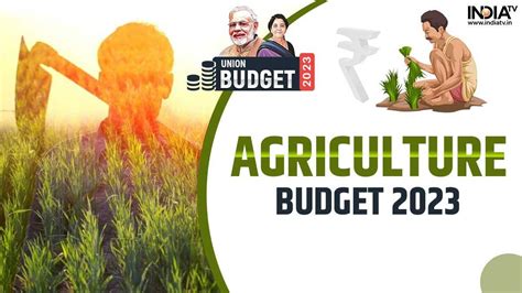 Budget 2023 Agriculture Announcements Schemes Infrastructure Farmers