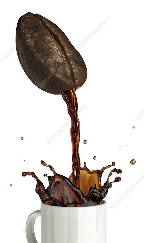 Pouring Coffee Artwork Stock Image F Science Photo Library