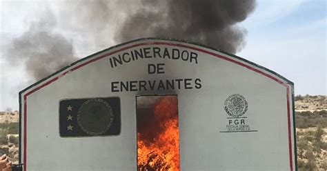 Incinera FGR narcóticos en Zacatecas NTR Zacatecas