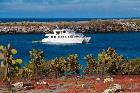 Galapagos Cruise Experience – Destination Ecuador