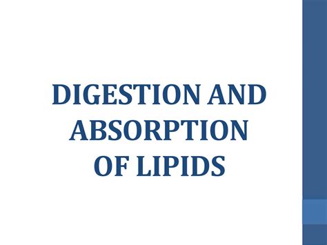 SOLUTION Digestion And Absorption Of Lipids Studypool