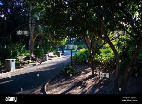 Gardens- Cape Town, South Africa - 19-02-2021 Stock Photo - Alamy