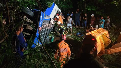 Motorista de carreta morre após tentar desviar de animal e cair em