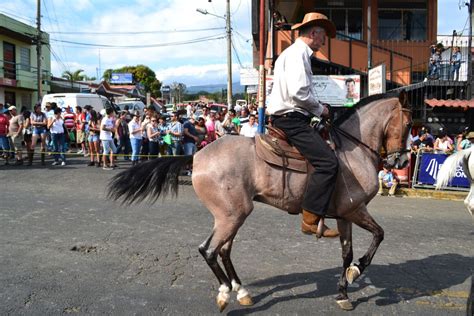 Foto Tope Sarchi 2013 2 Alajuela Costa Rica