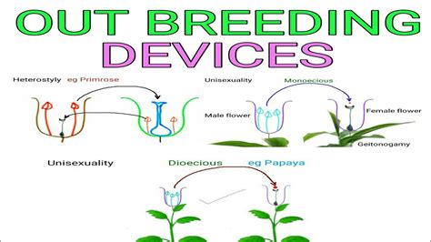 Out Breeding Devices | Pravin Bhosale - YouTube