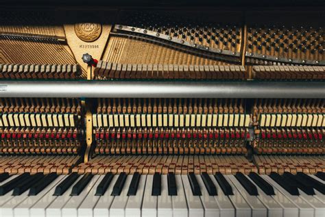 How Much Does A Grand Piano Cost In 2024 Piano Brands