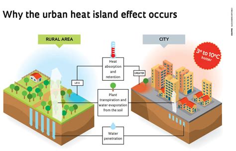 Temperatuur Regulatie Stedelijk Hitte Eilanden EcoCities