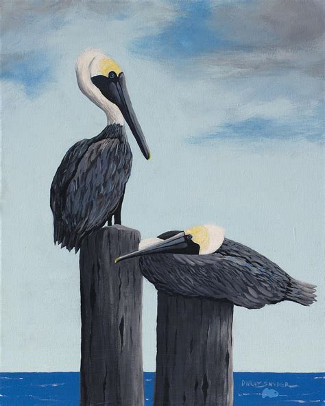 Brown Pelicans At Rest Painting By David Snyder Fine Art America