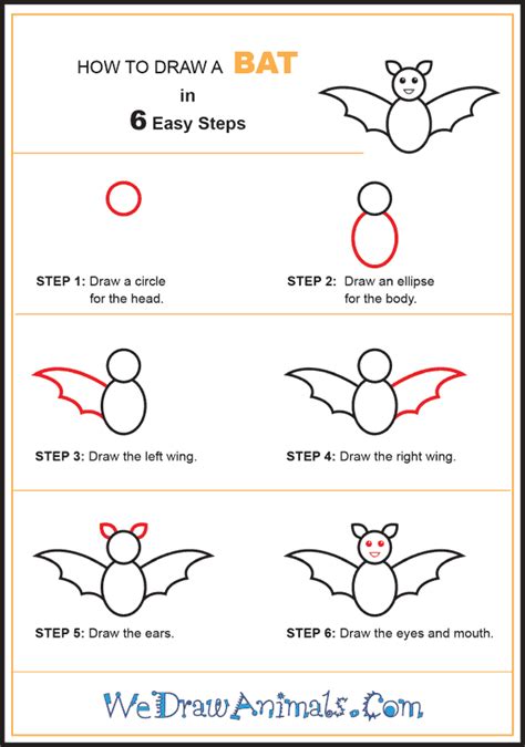 Step by Step How to Draw a Bat - Stillman Youstelying