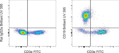 Cd19 Monoclonal Antibody Ebio1d3 1d3 Brilliant Ultra Violet™ 395