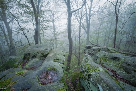 Laurel Ridge State Park | SLB Photography