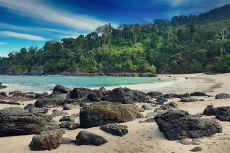 Kenapa Disebut Taman Nasional Meru Betiri Jelajahi Keindahan Flora Dan