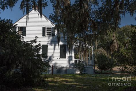 Working Plantation of Charles Pinckney Photograph by Dale Powell