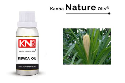 KEWDA OIL - KANHA NATURE OILS - ESSENTIAL OIL MANUFACTUR..