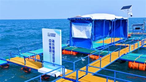 Cnnc Launches Test Platform To Extract Uranium From Seawater World Energy