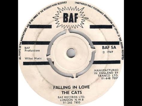 The Cats Falling In Love Youtube