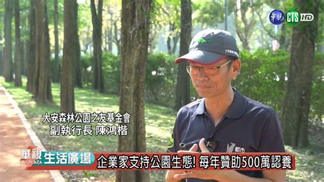 真愛樹 大安森林公園基金會呵護樹的健康｜華視生活廣場 大安森林公園之友基金會