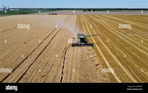 Combine Harvesting Wheat Stock Photo Alamy