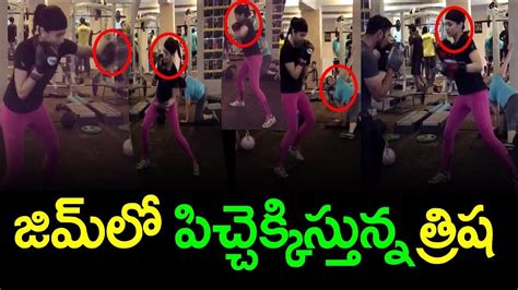 Actress Trisha Krishnan Gym Workout Video Latest Celebrities Gym