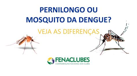 Dengue Aprenda A Identificar E Evitar O Mosquito Fenaclubes