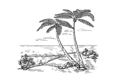 Sketch landscape with palm tree. Vacation on tropical beach, paradise ...