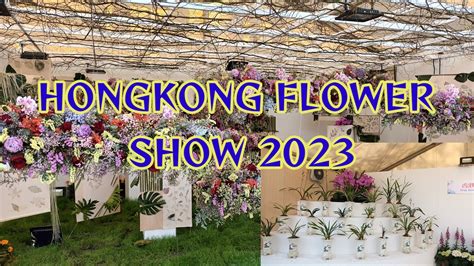 Hongkong Flower Show Vlog Tkw Hongkong Youtube