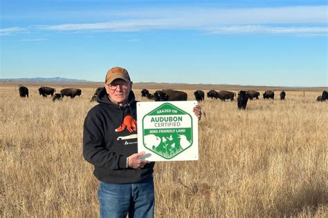 Audubon Certifies Cheyenne River Buffalo Ranch Home Of Wild Idea Buffalo Co As Bird Friendly