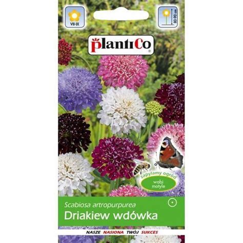 Drakiew Wdówka Mix 0 5g Plantico rolno ogrodniczy pl