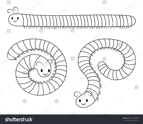 Set Of Millipedes Vector Illustration Cartoon Royalty Free Stock