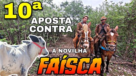 VAQUEIROS DOUTOR E MÁRCIO CONTRA A NOVILHA FAÍSCA YouTube