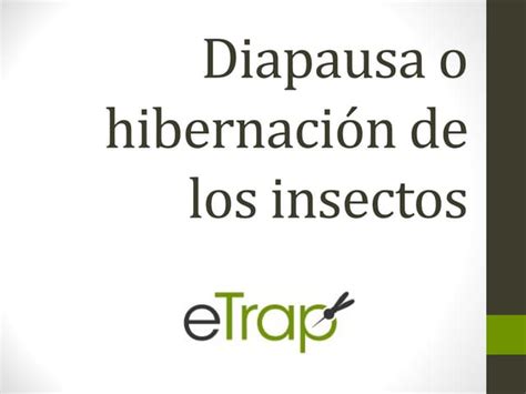 Varinia Los Insectos