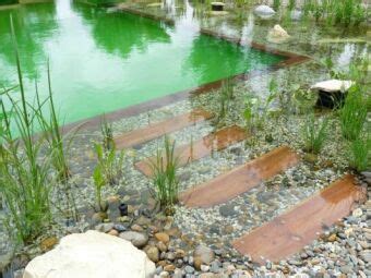 Piscine Naturelle Ou Biologique Pour Une Baignade Cologique