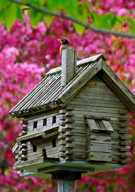 Via Log Cabin Birdhouse By Cherylorraine Smith Chronicles Of A