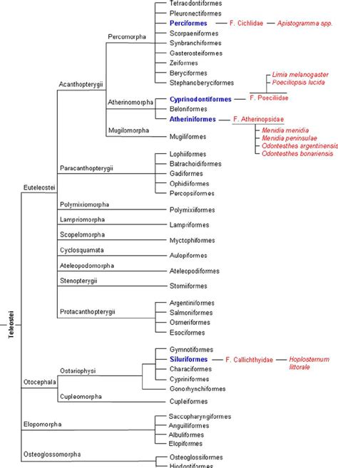 Distribution Of Temperature Dependent Sex Determination TSD In Fish