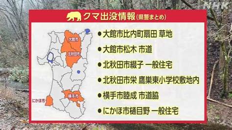 クマ出没情報（13日） 北秋田市で小学校の敷地内で目撃｜nhk 秋田県のニュース