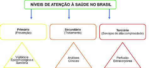 Atuação Do Biomédico Conforme Os Níveis De Atenção à Saúde Fonte