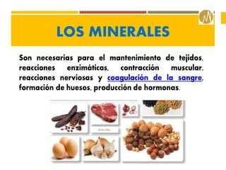 GENERALIDADES COMPONENTES NUTRICIONALES Pdf