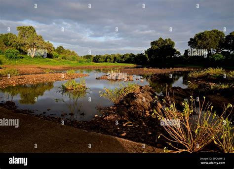 Kruger National Park South Africa Stock Photo Alamy