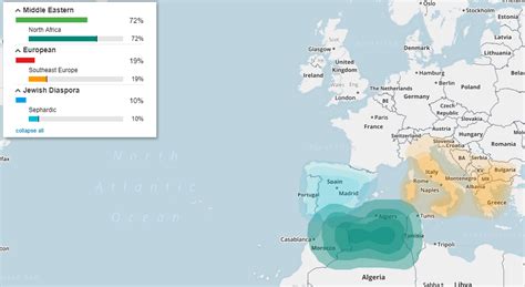 Berber dna result.