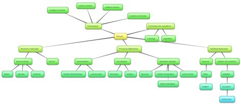 Carte Conceptuelle De Biologie Mon Site