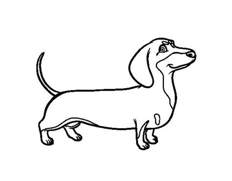 Dog Anatomy Drawing | Free download on ClipArtMag