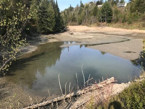 Low Gatineau River water levels leave some out to dry | CBC News