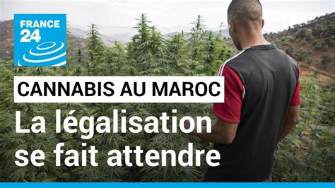 L Galisation Du Cannabis Au Maroc Les Cultivateurs Lass S D Attendre